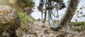 Close-up van de banden van een Mountainbike All Mountain-fiets tijdens een ritje op een ruig parcours.