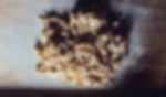  Sinalunga: Handmade pasta in Siena: tagliatelle and maccheroni