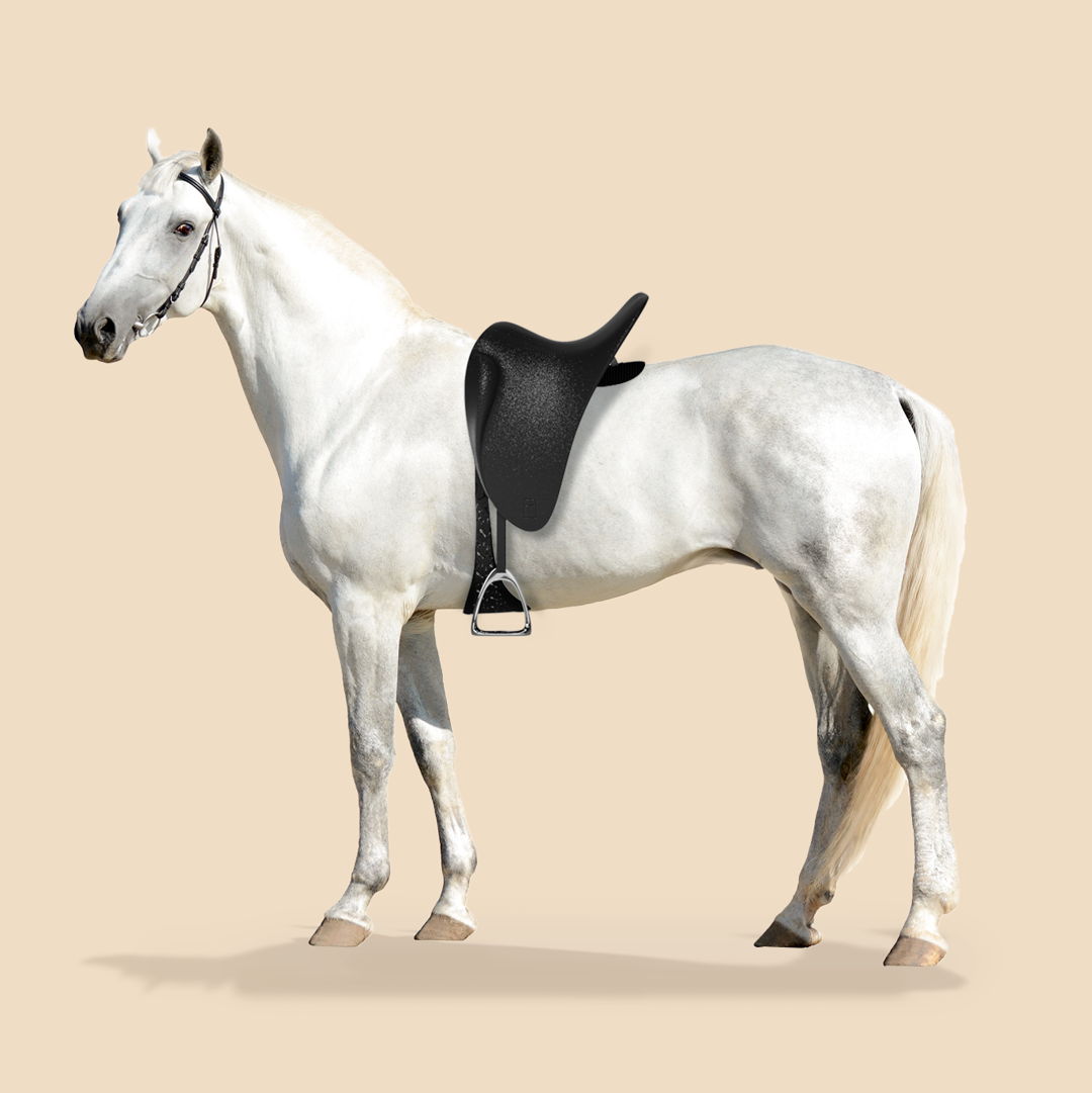 Image of De Tomaso Horse Saddle