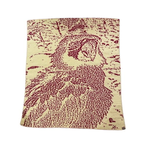 Parrot Baby Blanket