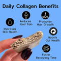 Daily Collagen Benefits