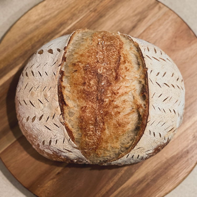 Grasshopper Sourdough Co — photo from hotplate.com