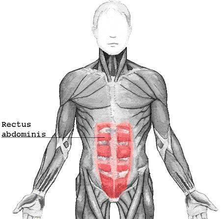 Abs Abs