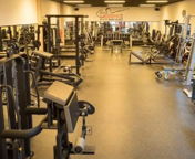 Open Gym