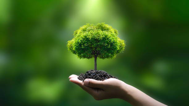 Sustainability at SOW Kids – Clothing That Gives Back