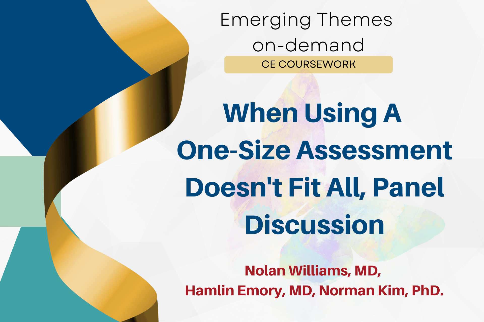 When Using A One-Size Assessment Doesn't Fit All Panel Discussion