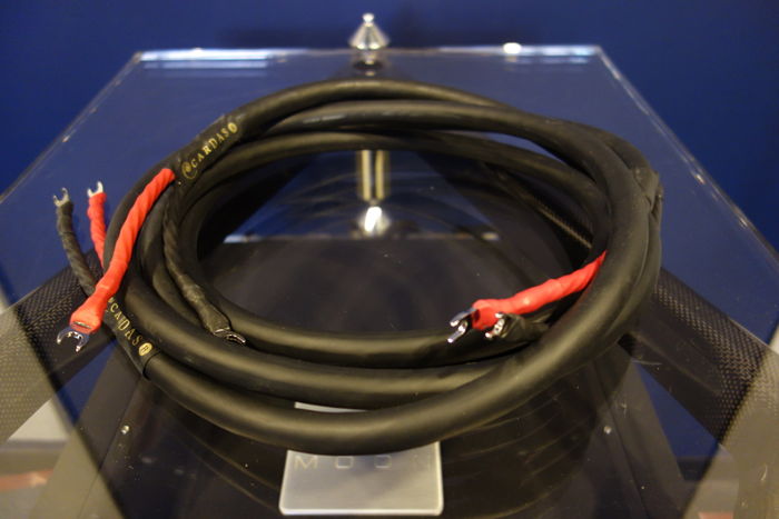 Cardas Audio Golden Reference Speaker cables