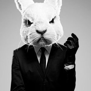 MaximusRex Avatar