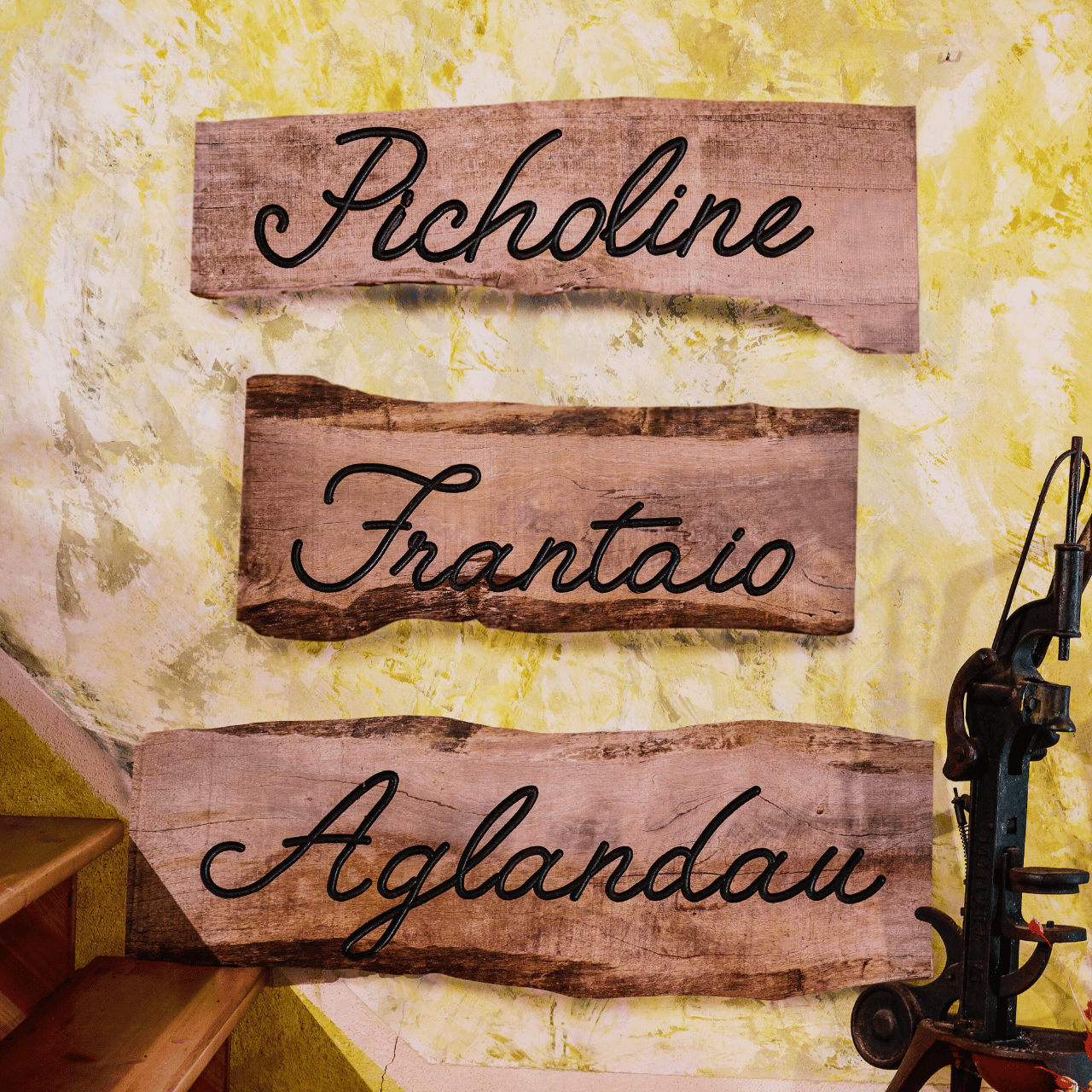 Trois planches en bois chacune marquée des variétés d'olive du Moulin Fortuné Arizzi