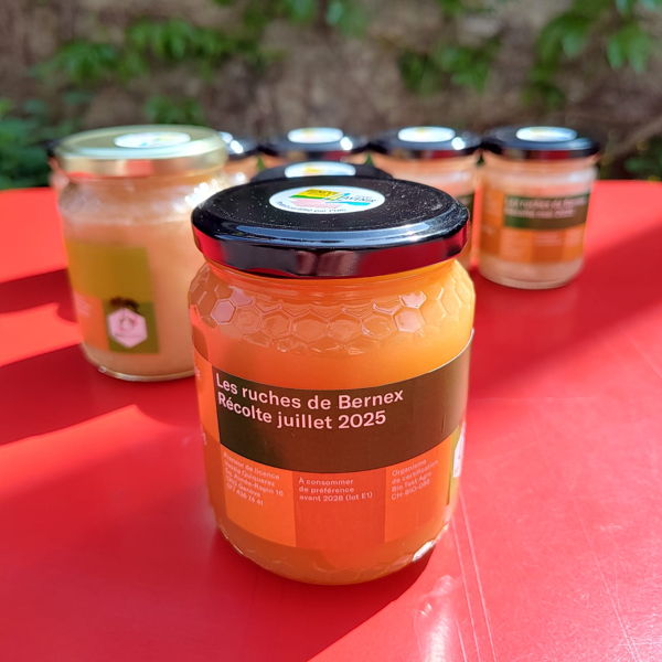 miel-dete-geneve-bio-grta-500g