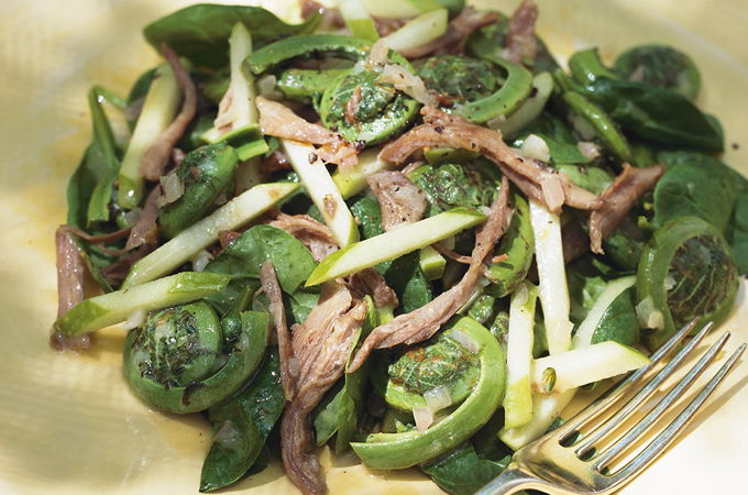 Warm Duck Confit and Fiddlehead Salad