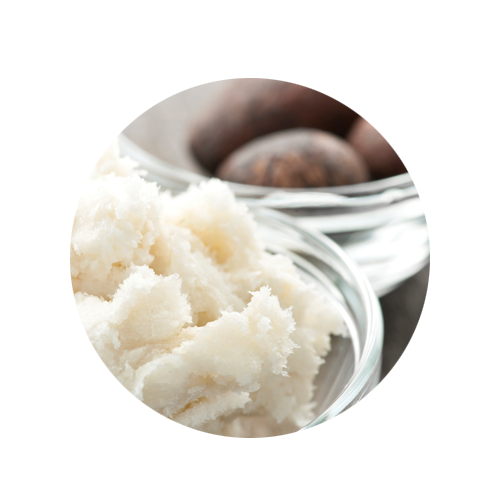 Shea Butter and Vitamin E Ingredient