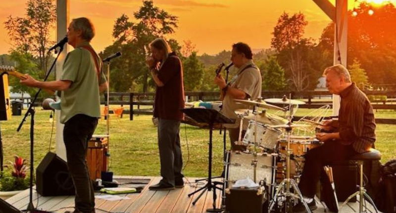 Live Music: The Wavelength