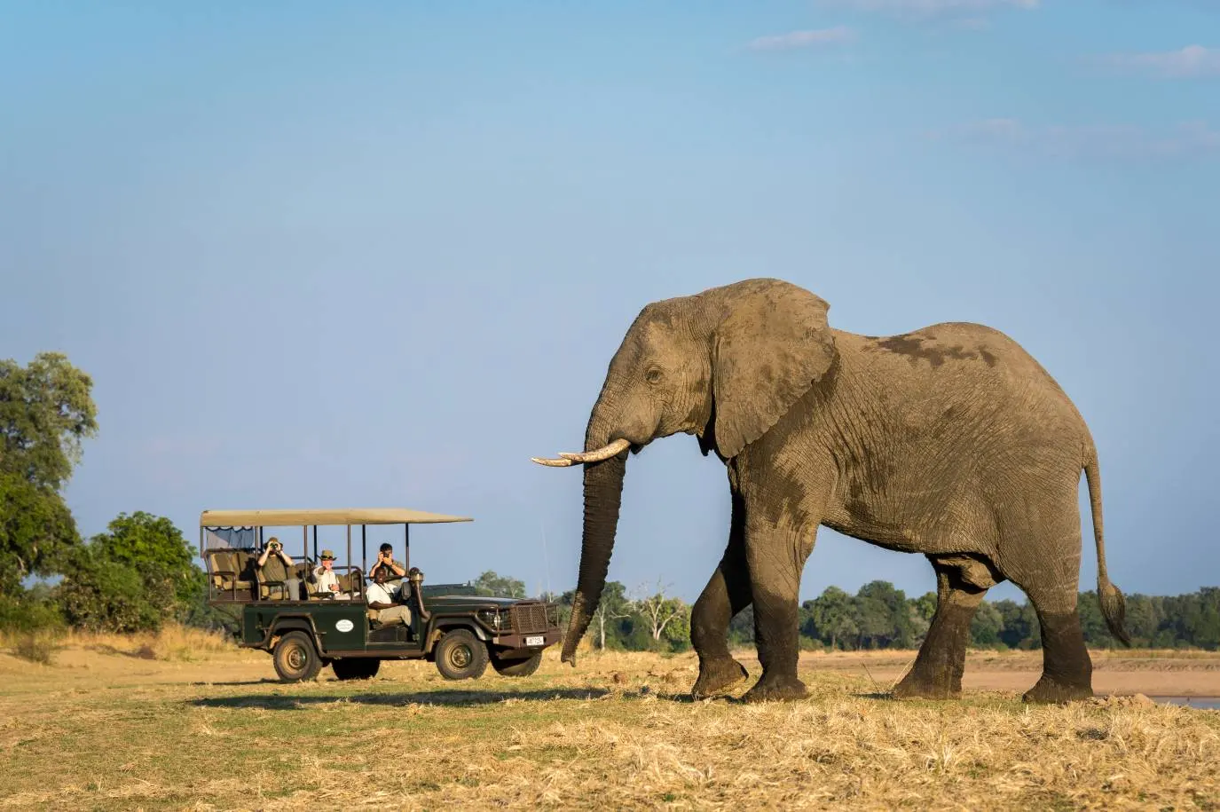 6-Day Discover Zambia’s Iconic South Luangwa National Park Safari