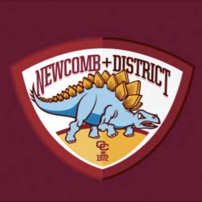 Newcomb & district cricket club Cricket Club Logo