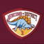 Newcomb & district cricket club logo