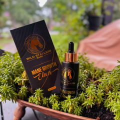 Mane Growth Elixir outdoors among plants