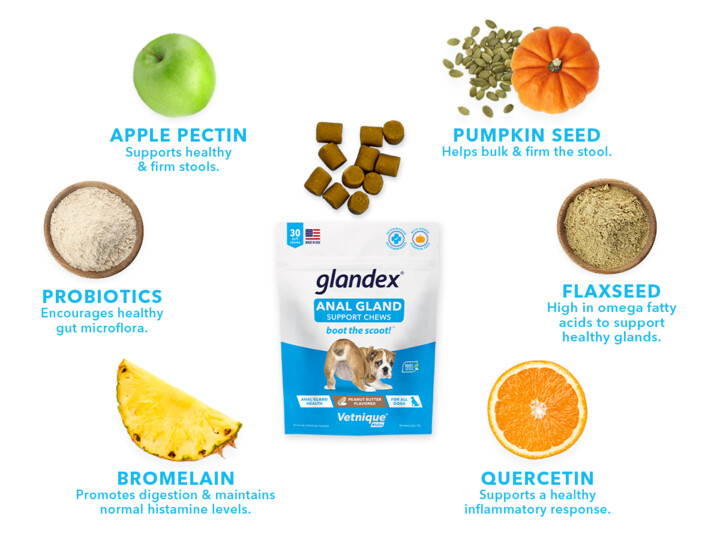 Glandex ingredient panel showing pumpkin seed, apple pectin, quercetin, bromelain, and probiotics