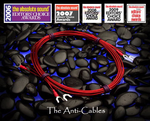 Anti-Cables by Paul Speltz  6 foot Bi-wire biwire set