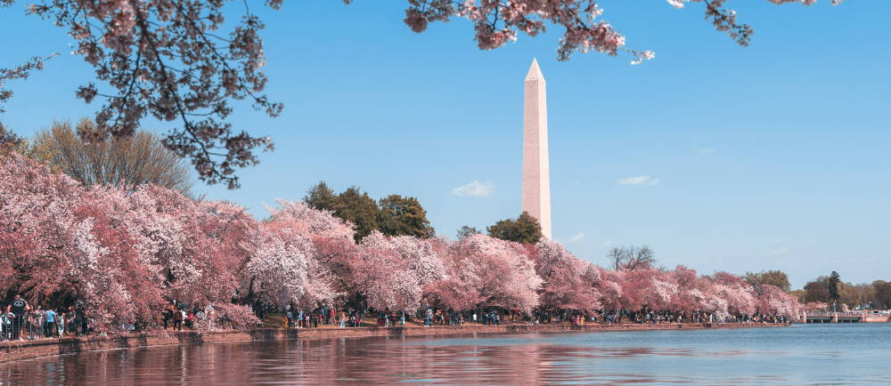 Monument in Washington DC