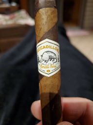 Cigar Session Photo