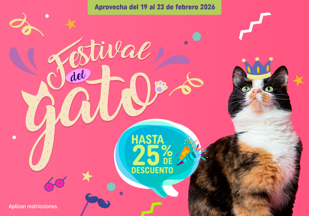 festival del gato 20% descuento