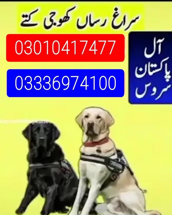 Army dog center chakwal 03336974100_03010417477