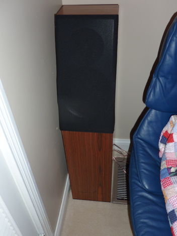 Meadowlark Audio shearwater pr speakers