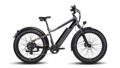 Fatbike Allround Commuter