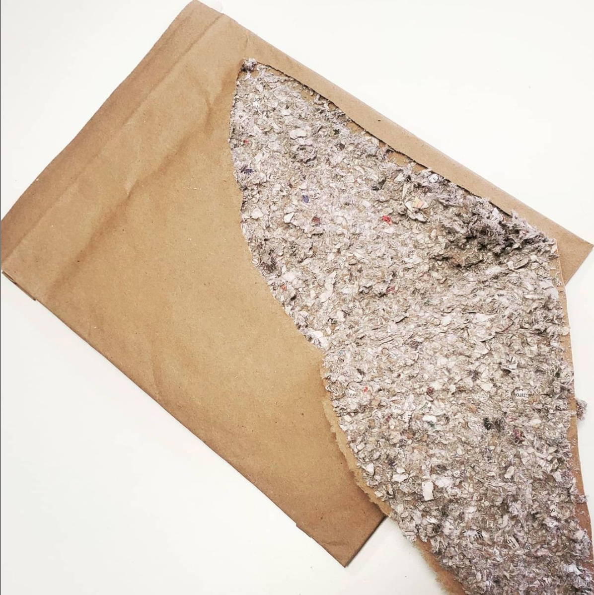 Photo of inside of packaging exposing padded lining made of recycled paper.
