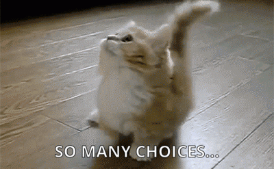 Cute kitten gif with caption &ldquo;So many choices&hellip;&rdquo;