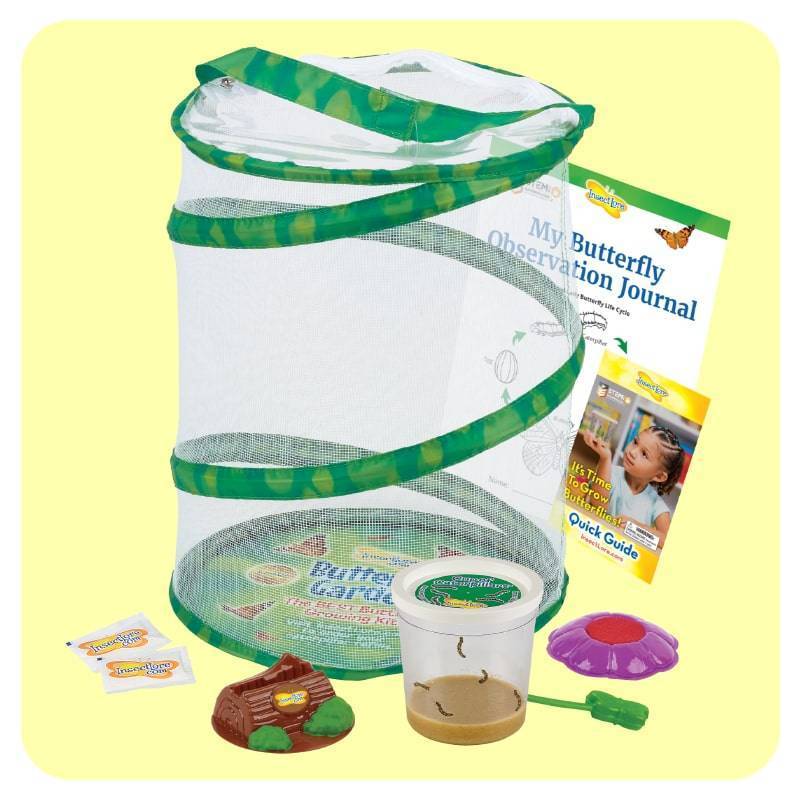 Home School Butterfly Kit