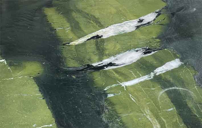 Gartentisch nach Messe