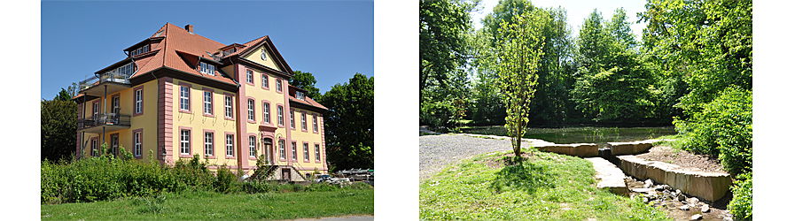  Göttingen
- doppelbild-weende.jpg