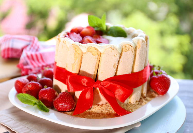 スポンジケーキとは