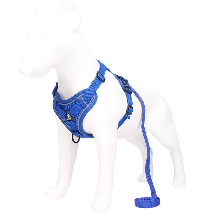 Blue Reflective Mesh Dog Harness and Leash Set - Adjustable No-Pull Vest - Image 2
