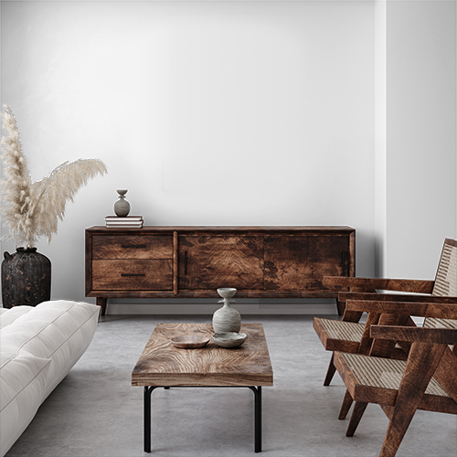 Elegant rustic living room ideas