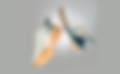 Close-up of a pair of classic white tennis shoes