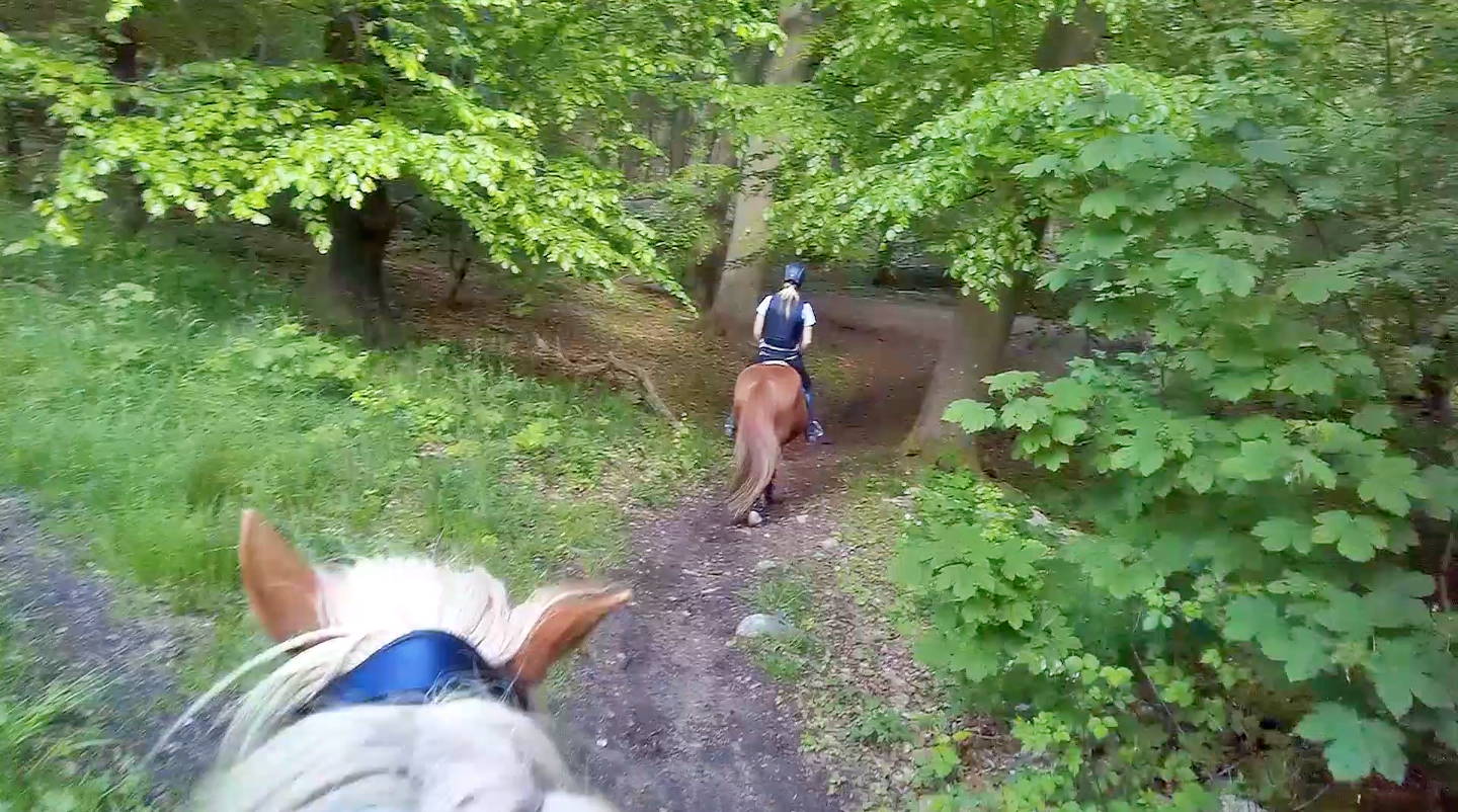 Et billed taget med saturn kamerabrillen fra ryggen af en hest ude i en grøn skov, og med endnu en rytter med længere fremme i billedet.