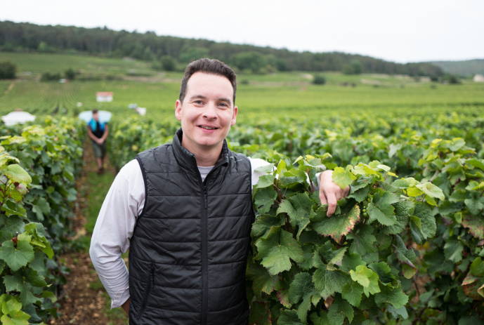 Domaine Gerard Peirazeau & Fils, Sophie Charlopin & Laurent Peirazeau, Pinot Noir, Chardonnay, Morey Saint Denis, Chambertin clos de Bèze, Charmes Chambertin Clos De La Roche Clos Saint Denis, Bonnes Mares, Chambolle Musigny, Morey Saint Denis, Coteaux Bourguignons, Burgundy, French winemaker, Singapore, France, French Wine, Fine Wine, Galiena, Fine Wines, Shop, Importer, Wine Singapore