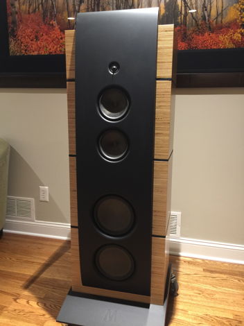 Magico M5 World Class Speakers. PRICED TO SELL - Reloca...