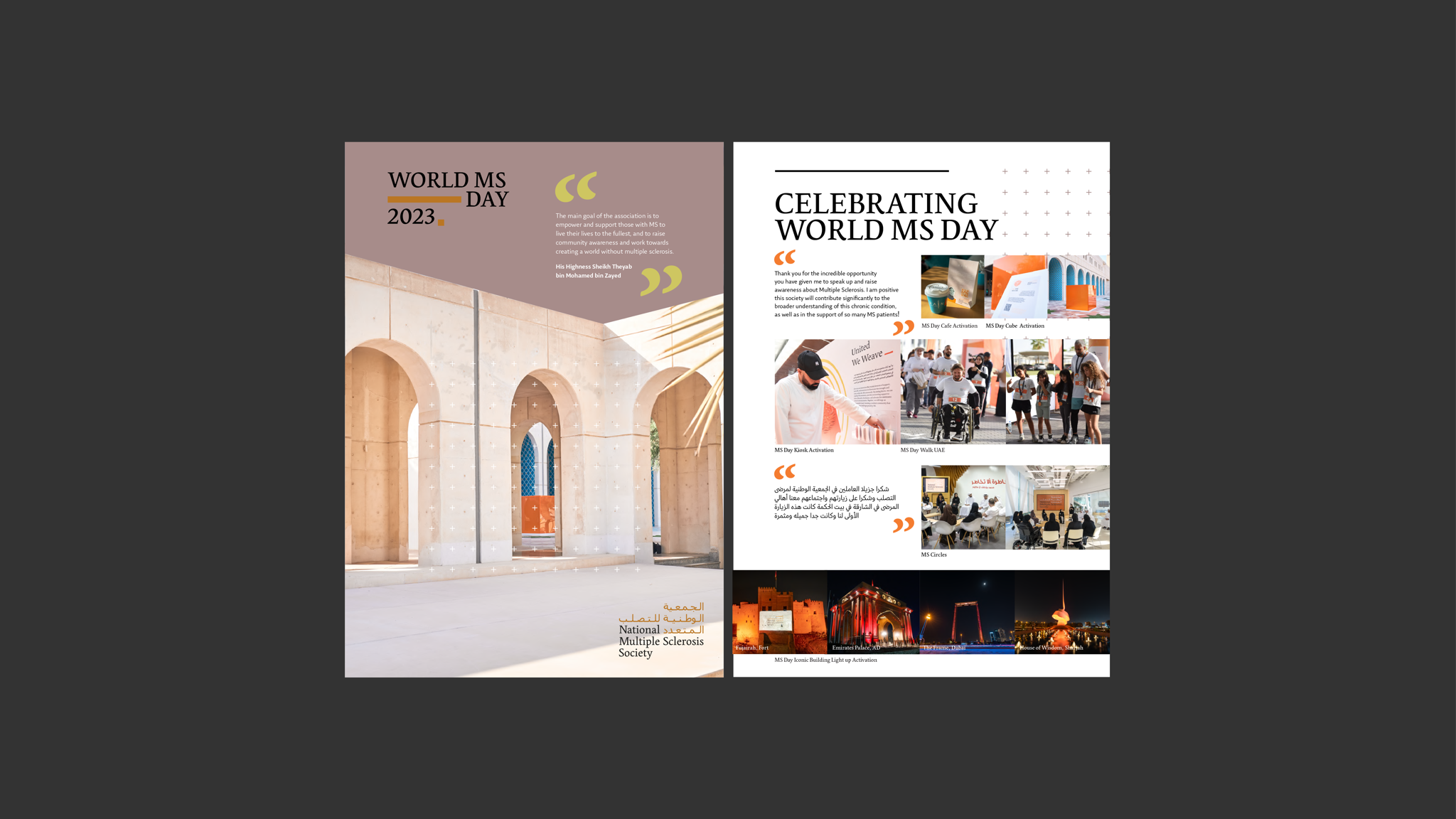 World MS Day 2023 Impact Report