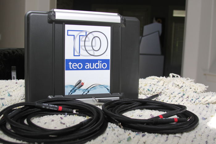 TEO carrying case & 3 mtr cables