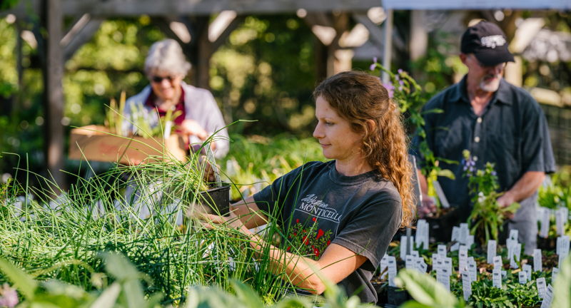 Spring Open Houses and Plant Sales at CHP