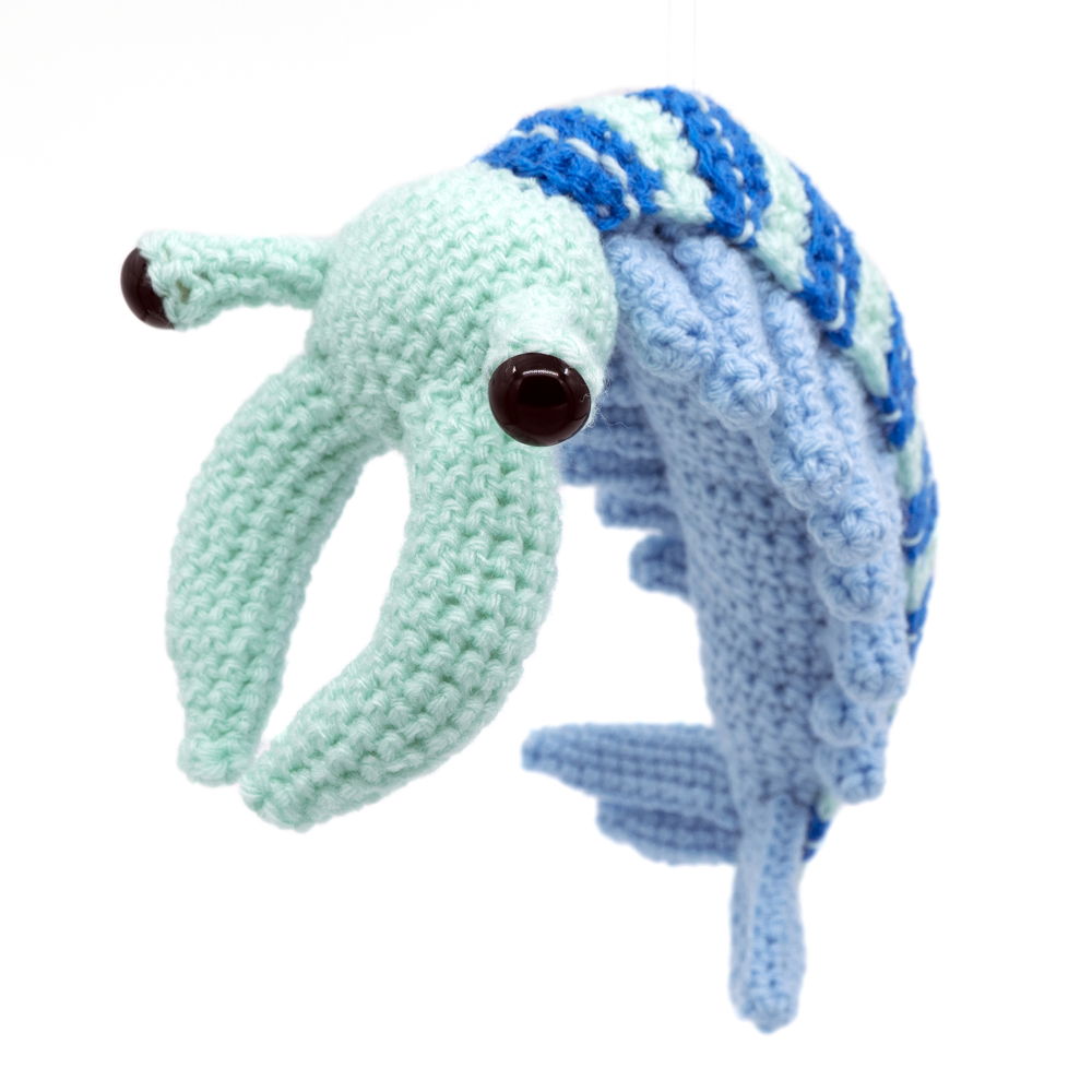 Amigurumi Anomalocaris