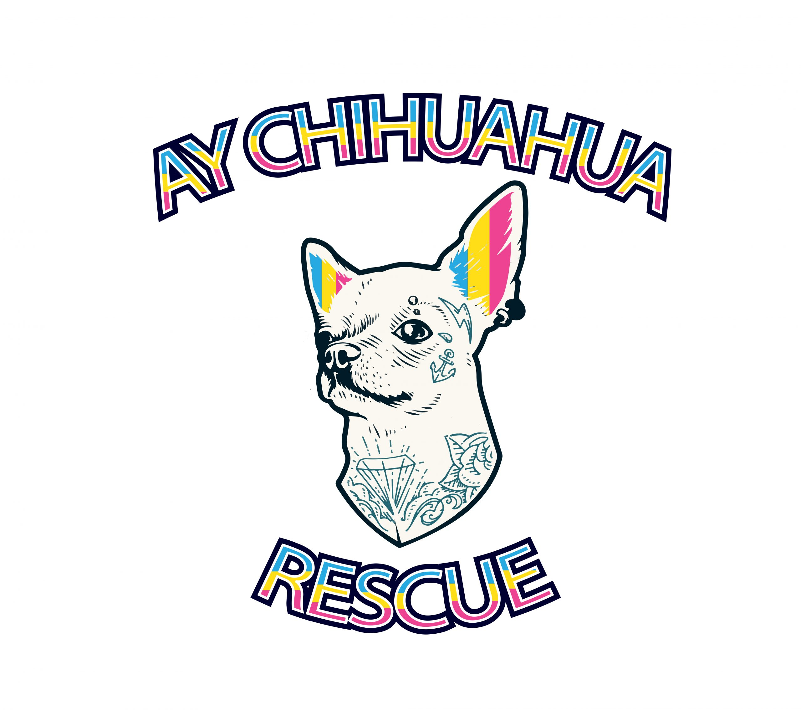 ay chihuahua rescue.jpg