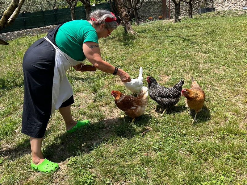 Cours de cuisine Marzana: Des œufs aux pâtes : cours de cuisine à la campagne