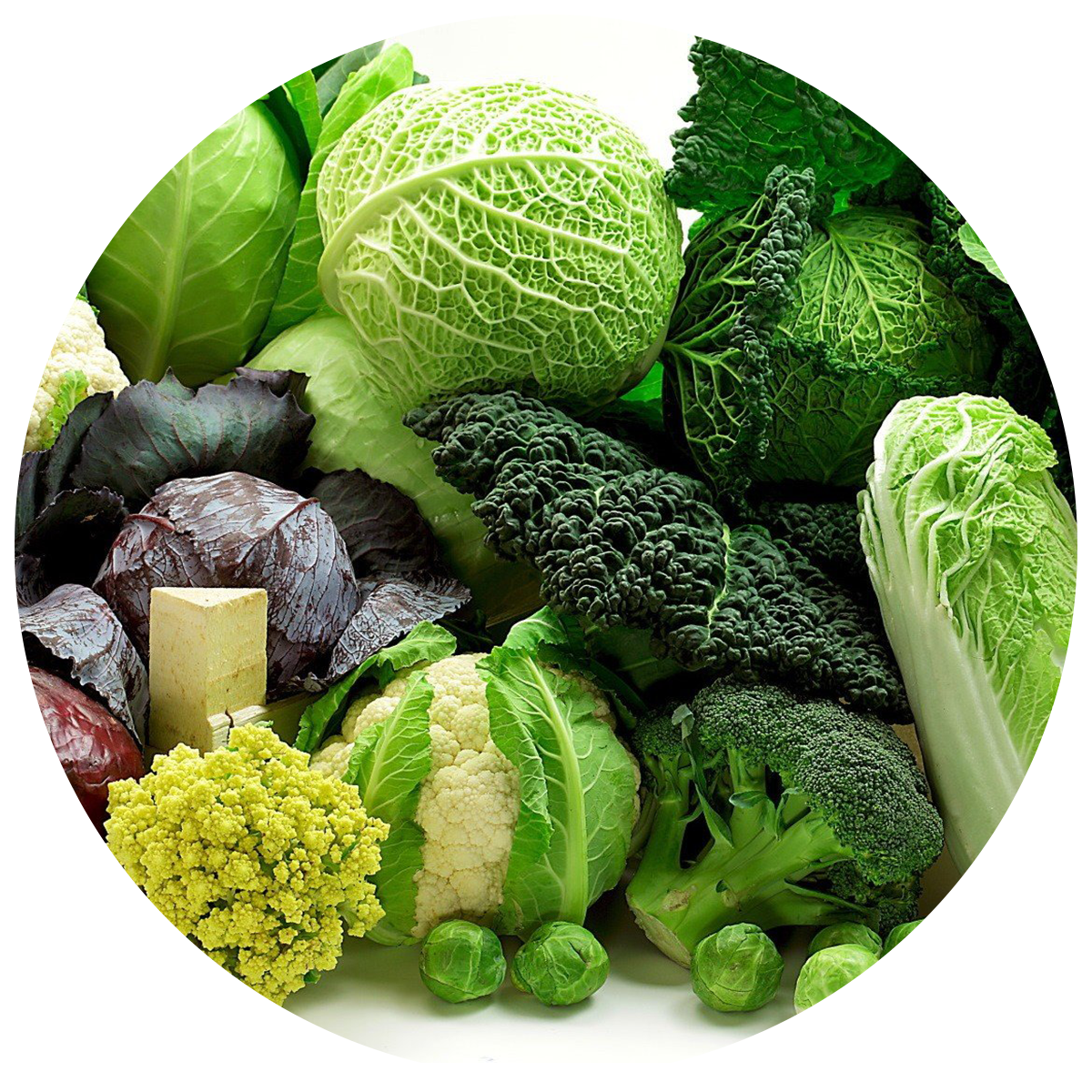 Various vegetables as Vegetable Enzymes as natural digestive enzyme found in the best digestive enzyme supplement 