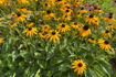 Country Corner Daycare - Preschool