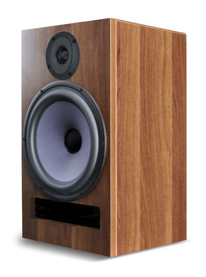 differential technology A25 2 way Monitor Speaker